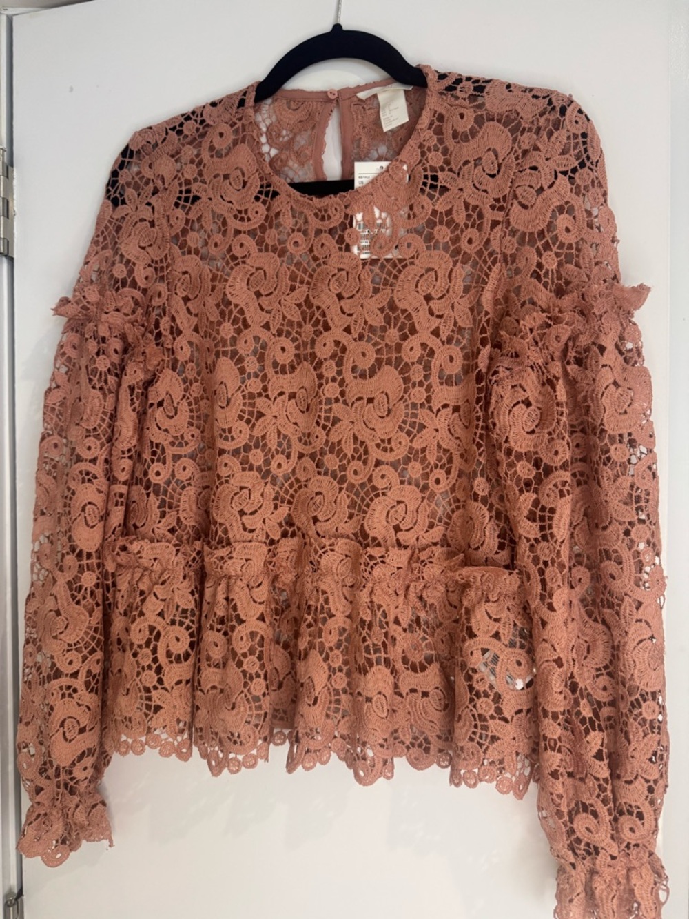 H&M Rosewood Lace Peplum Blouse